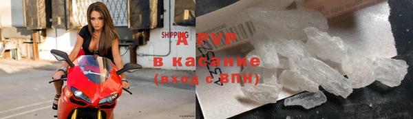 амф Анива