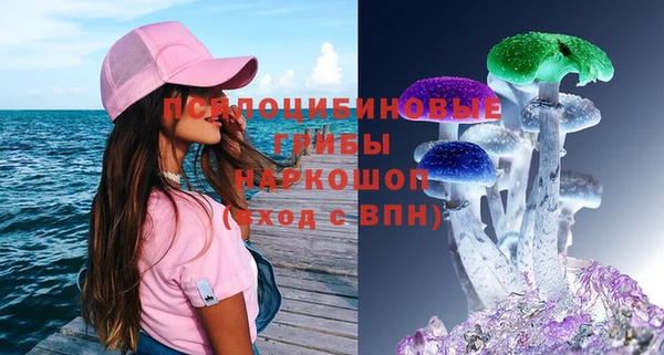 соль ск Анжеро-Судженск