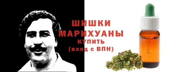 эйфоретик Кулебаки