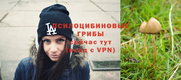 прущая мука Куйбышев