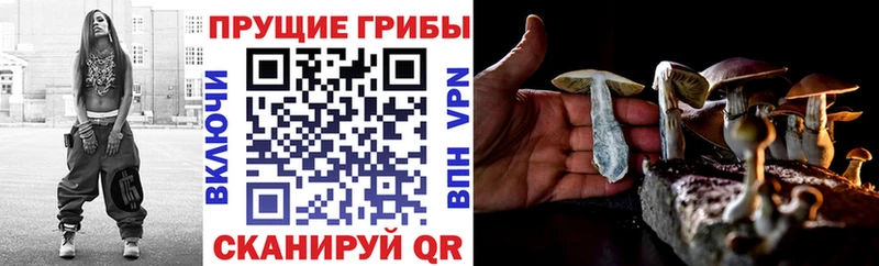 Галлюциногенные грибы мицелий  Нижняя Тура 